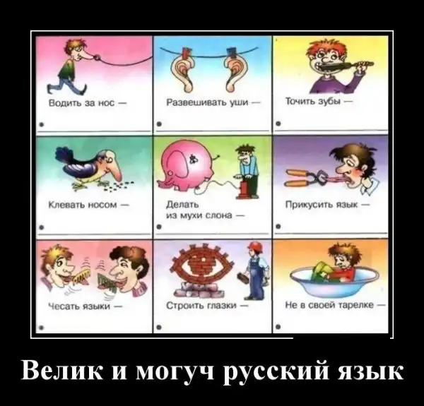 Прикольные и просто красивые картинки