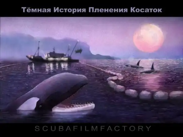 Про индустрию неволи китов и дельфинов. Документальный фильм "Тайная история пленения косаток."