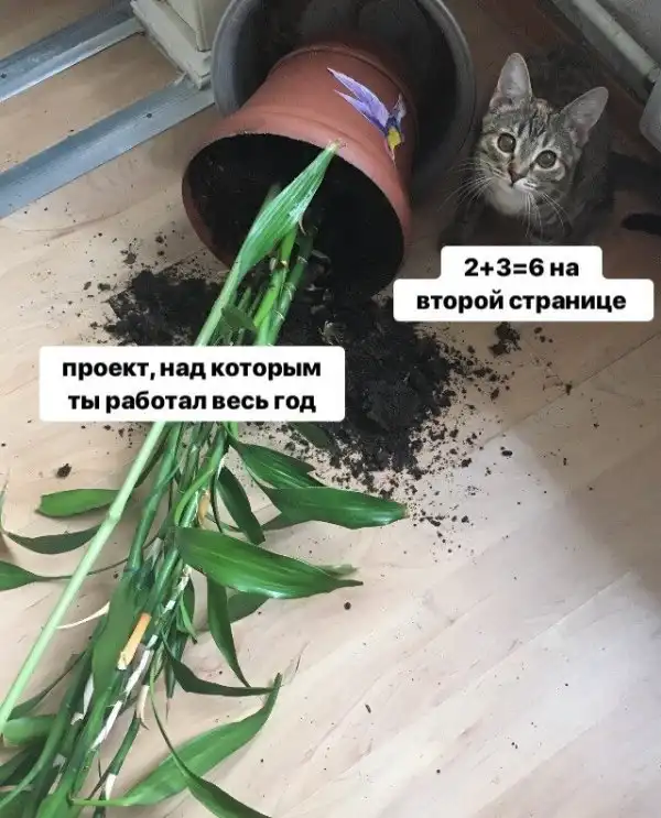 ТМ (избранное) - часть 2