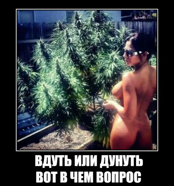Много девушек и немного юмора