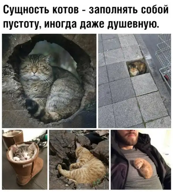 Прикольные картинки абавсём:D