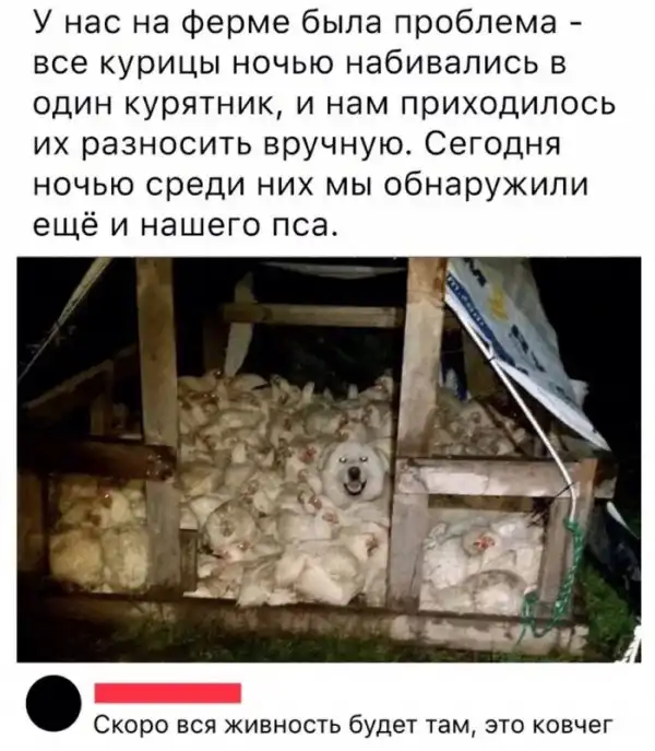 Прикольные картинки абавсём:D