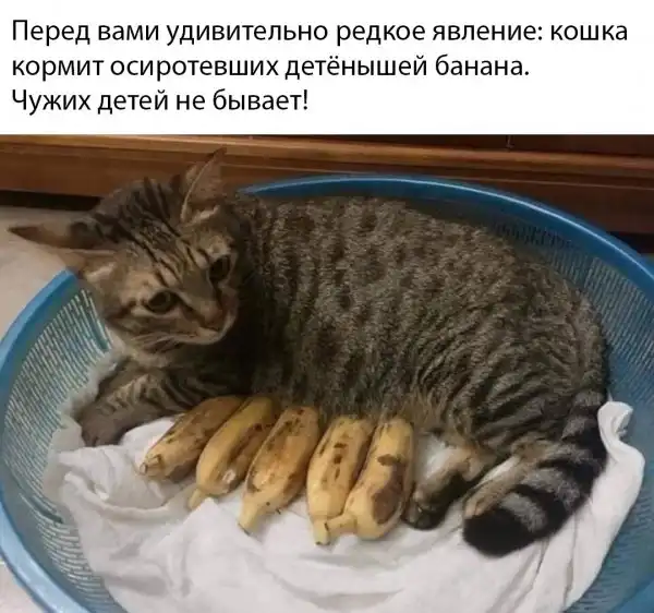 Прикольные картинки абавсём:D