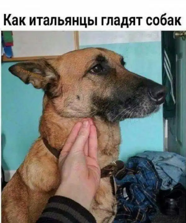 Не очень адекватный юмор