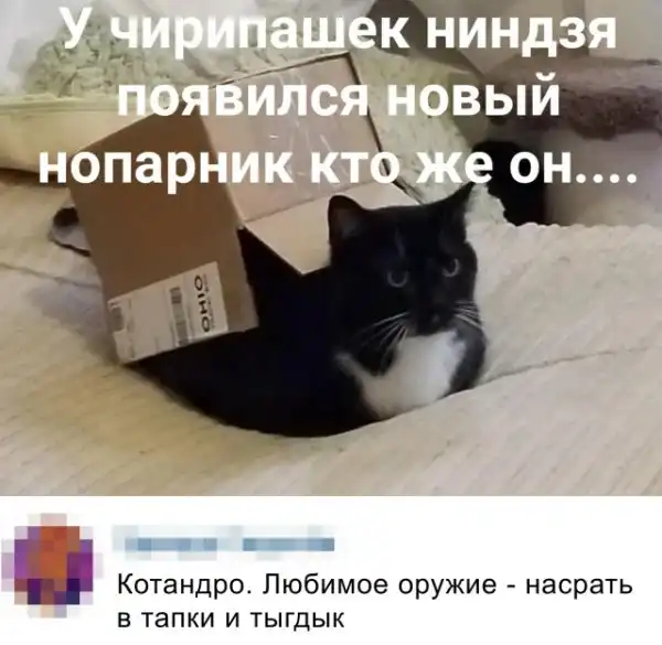 Прикольные картинки абавсём:D