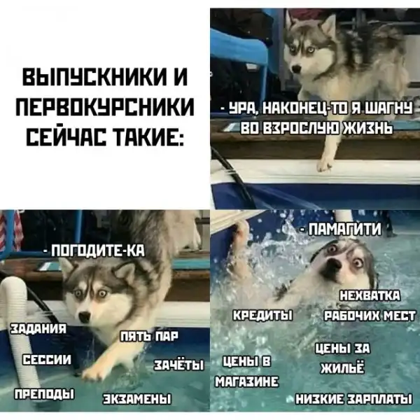 Прикольные картинки абавсём:D