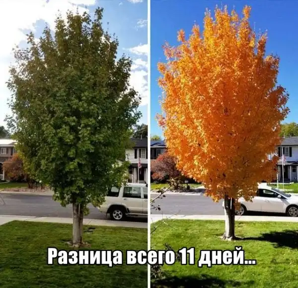 Прикольные картинки абавсём:D