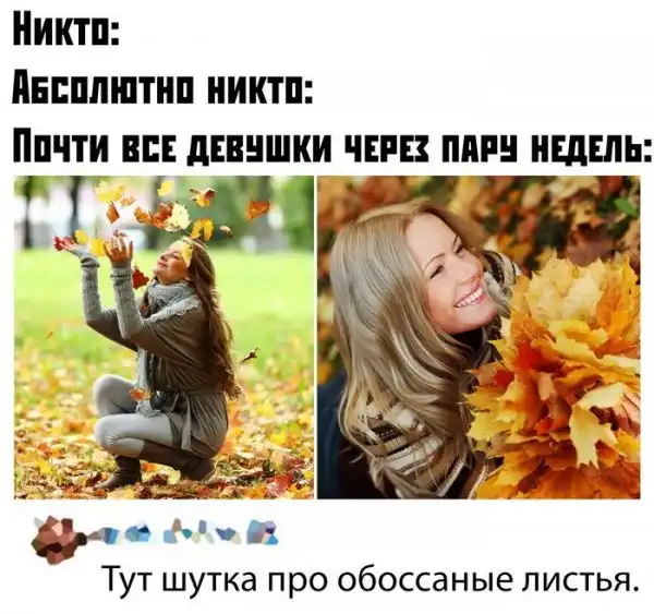Скрины из социальных сетей