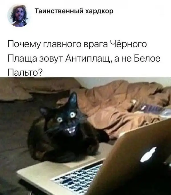 Скрины из социальных сетей
