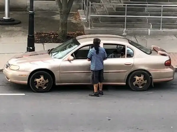 Автовсячина