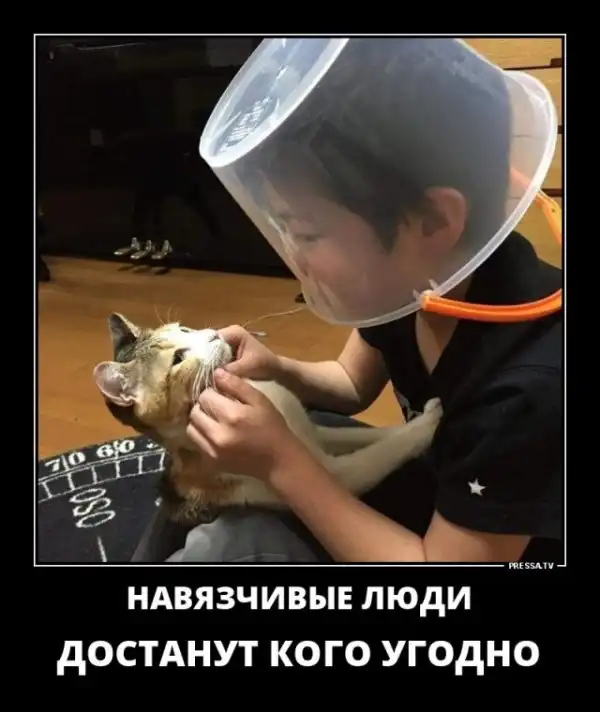 Картинки в черных рамках
