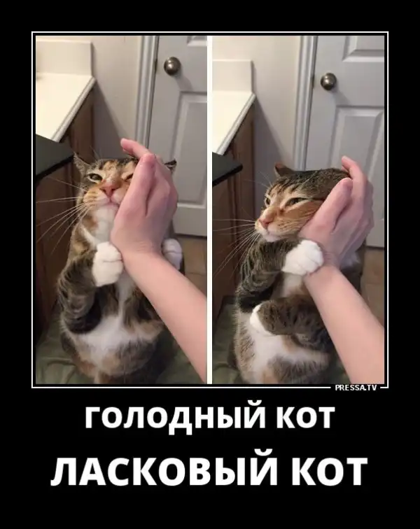 Картинки в черных рамках