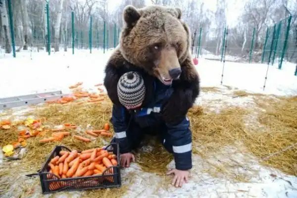 Фотоподборка со всякими зверушками