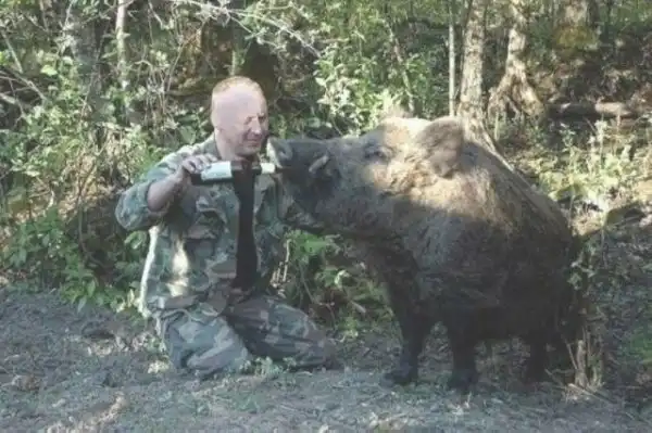 Фотоподборка со всякими зверушками