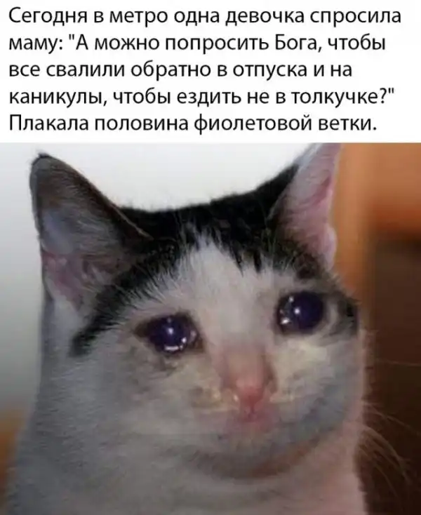 Фотоподборка