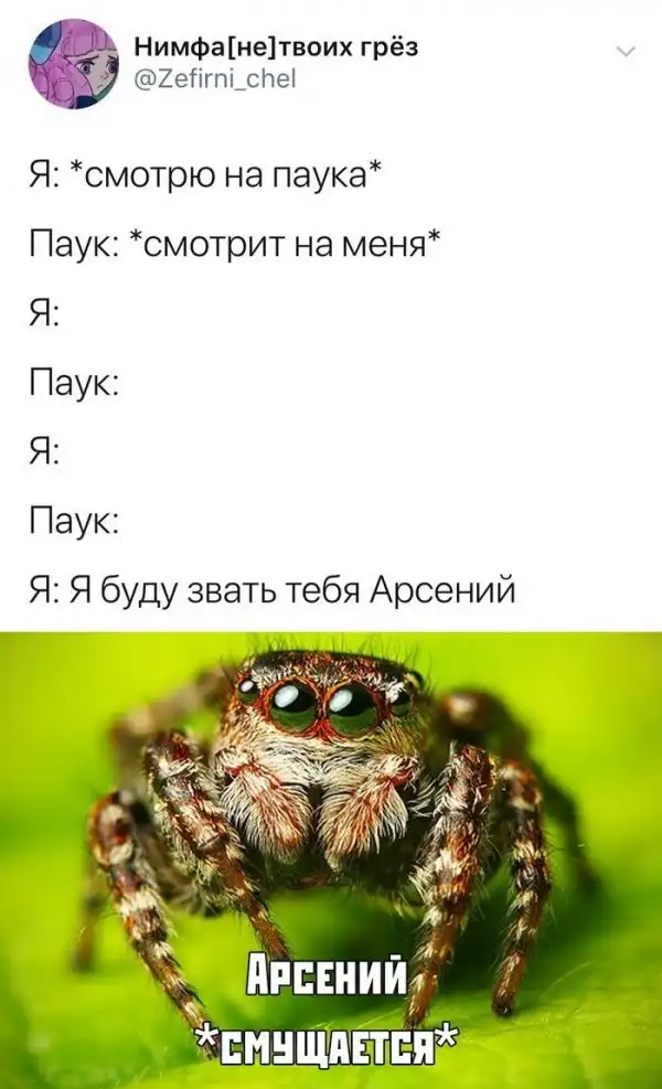 Скрины из социальных сетей