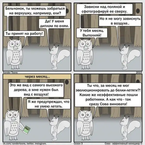 Сова — эффективный менеджер: смешные и правдивые комиксы о несносных начальниках