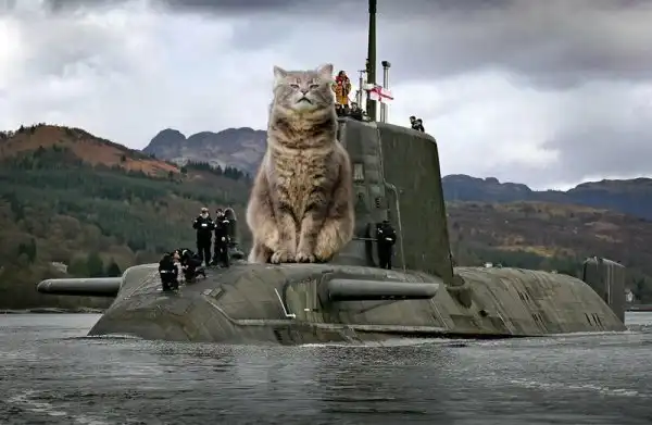 Нет войне, да - котикам: фотошопер соединяет гигантских котов и военную технику