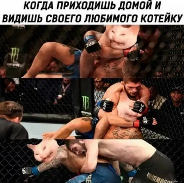 Картинки разные атавсюду...