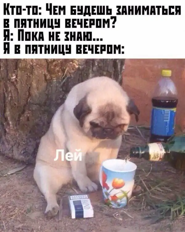 Алкогольные приколы