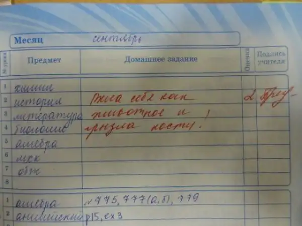 Замечания в дневниках современных школьников