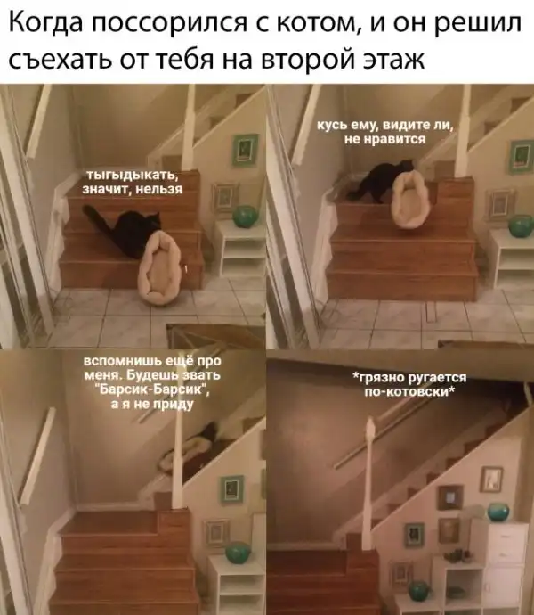 Прикольные картинки абавсём:D