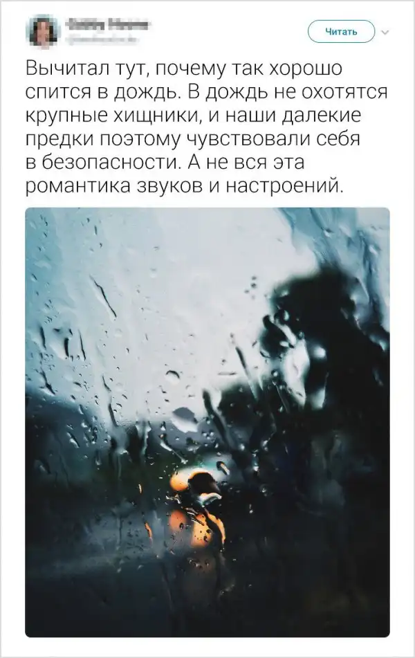 Колкие комментарии от пользователей-правдорубов