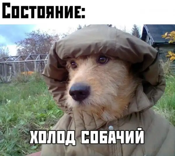 Прикольные картинки абавсём:D