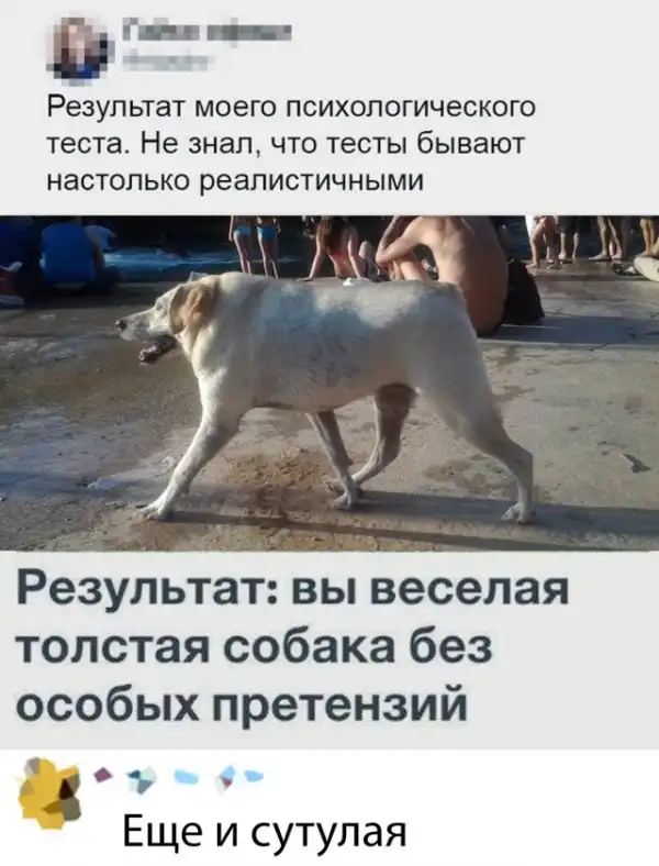 Прикольные картинки абавсём:D