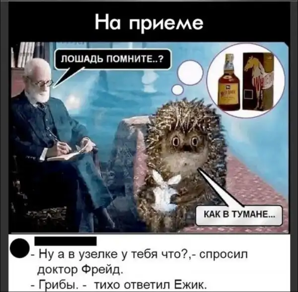 Хохотальня