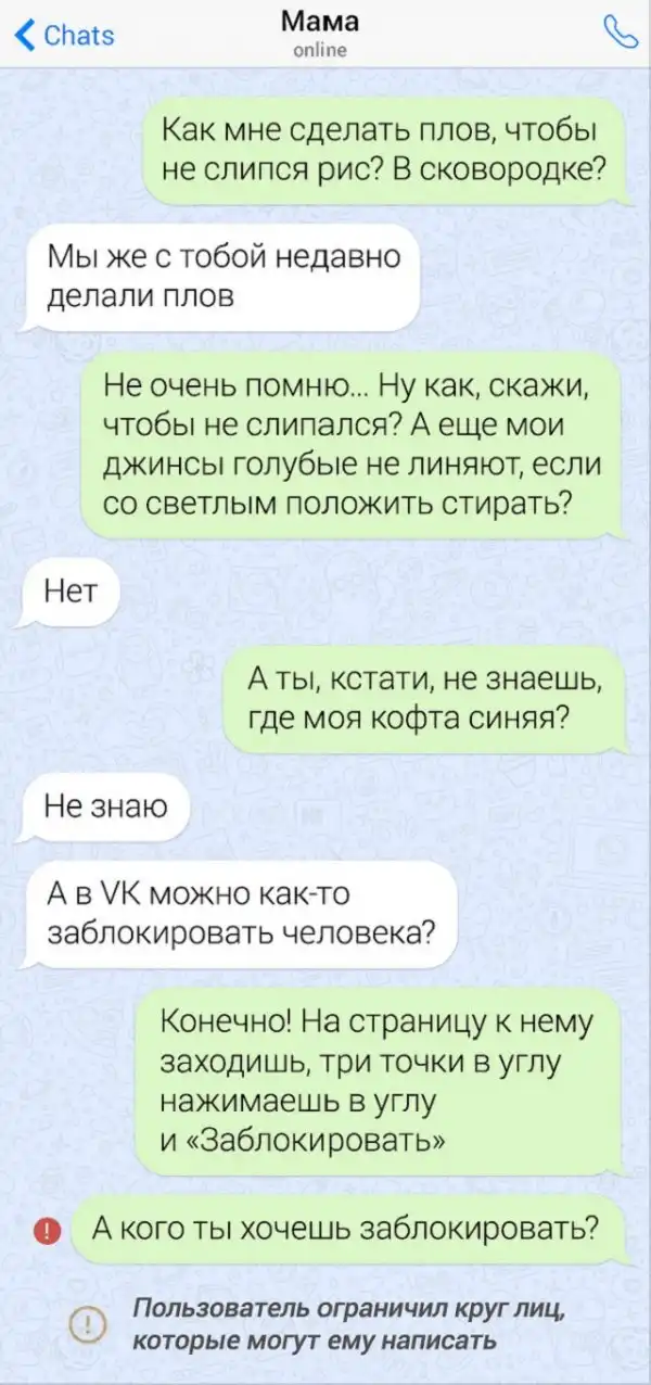 Забавные переписки с родителями