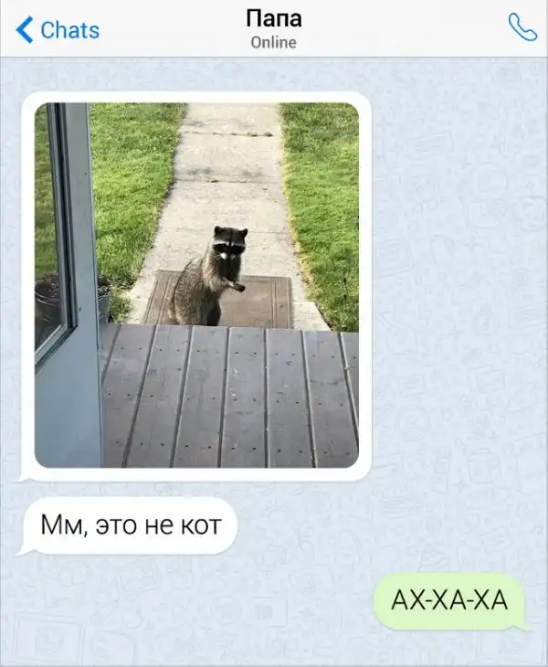 Забавные переписки с родителями