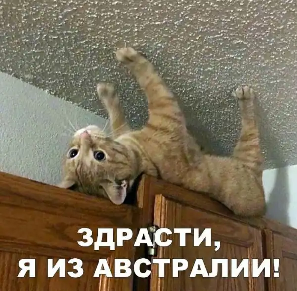 «Картинки разные нужны, картинки разные важны»