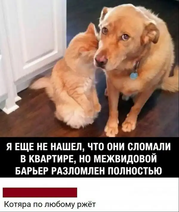 «Картинки разные нужны, картинки разные важны»