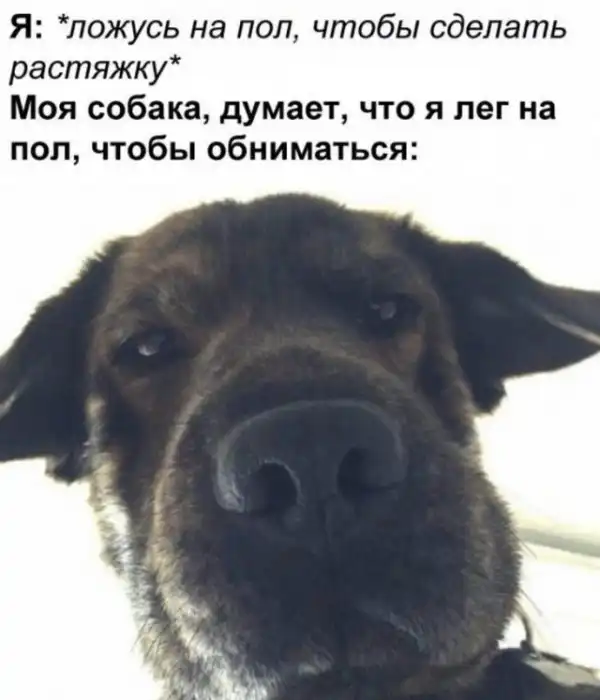 Немного картинок для настроения