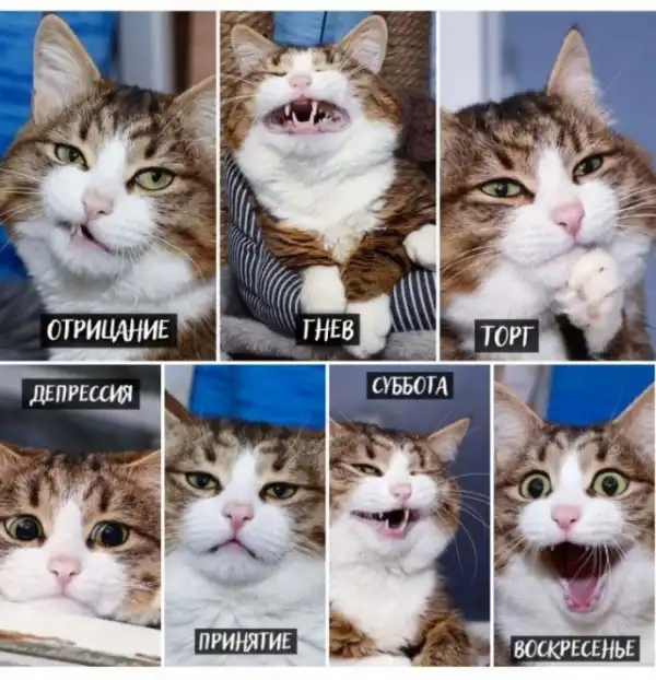 Немного картинок для настроения