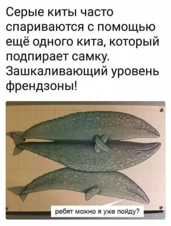 Немного картинок для настроения
