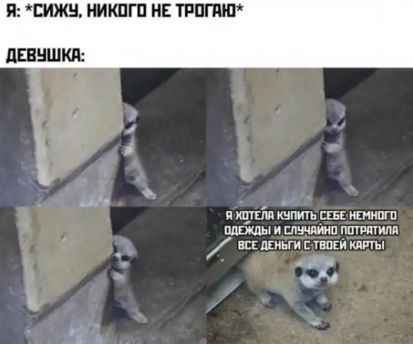 Немного картинок для настроения