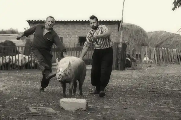 Вот моя деревня!