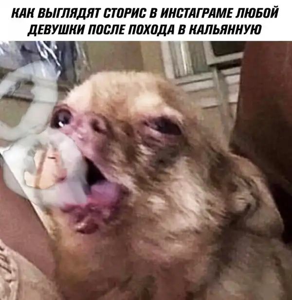 Нестандартный юмор :)