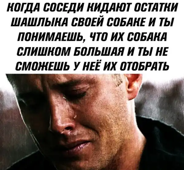Нестандартный юмор :)