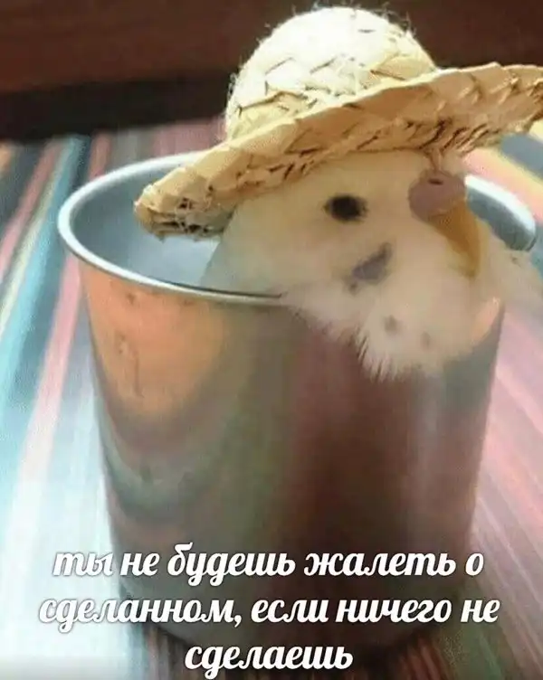 Нестандартный юмор :)
