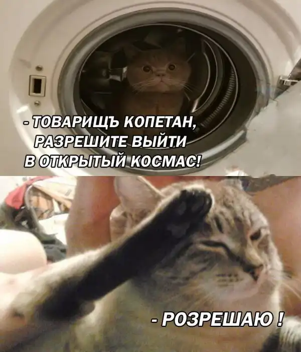 Нестандартный юмор :)
