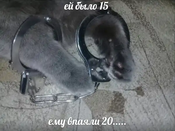 Нестандартный юмор :)
