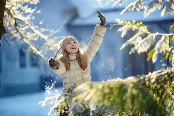 Снежное царство