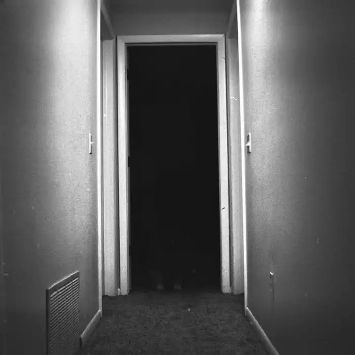 18 фотографий животных, которые выглядят так, будто выходят на связь с потусторонними силами 18 фотографий животных, которые выглядят так, будто выходят на связь с потусторонними силами