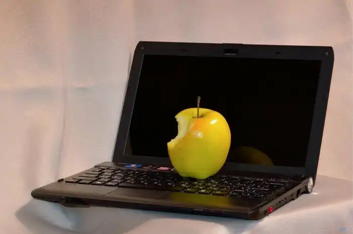 Почему символом компьютерной компании стало яблоко