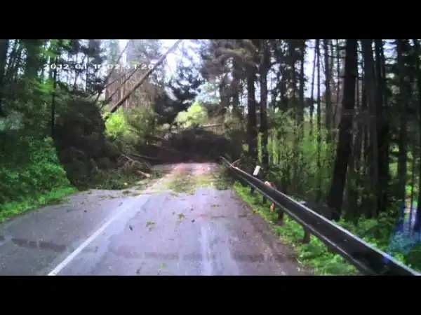 Падающий лес на горной дороге