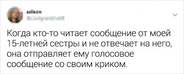 Номера, которые могли выкинуть только наши родные братья и сестры