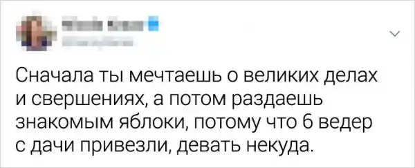 Твиты от людей, которые смотрят на мир сквозь призму самоиронии и сарказма